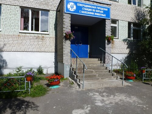Ветеринарная клиника ГБУ АО Северодвинская городская станция по борьбе с болезнями животных, Северодвинск, фото