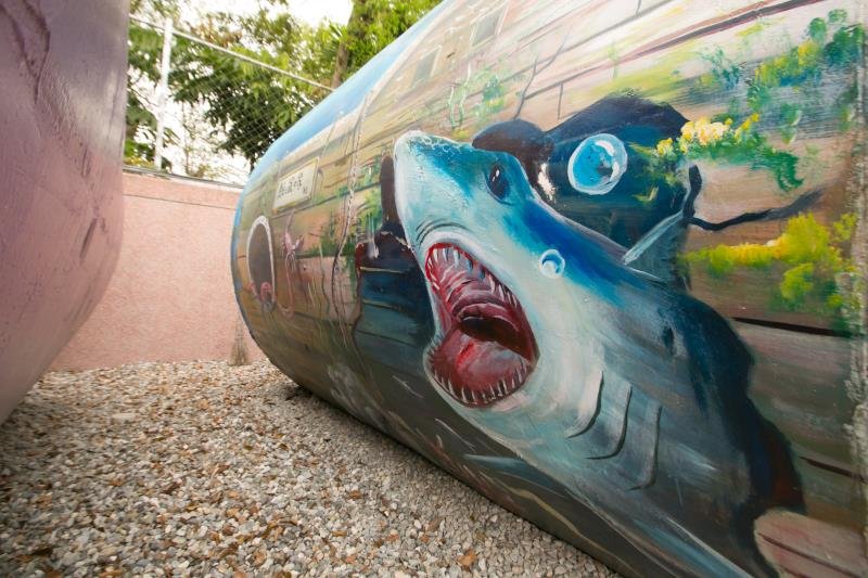 Фото Honey Bear Bed and Breakfast