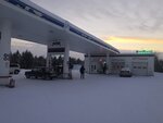 УМП УПТК (territoriya Promzona-2, 17А), gasolinera