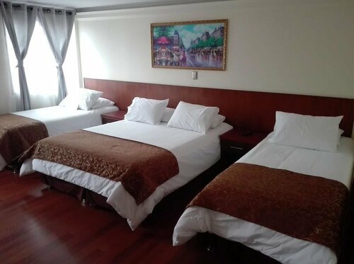 Гостиница Hotel Newen в Темуко