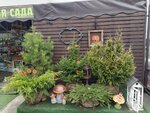 Флоранс (Balashikha, Kuchino Microdistrict, Leonovskoe Highway, вл2), garden center