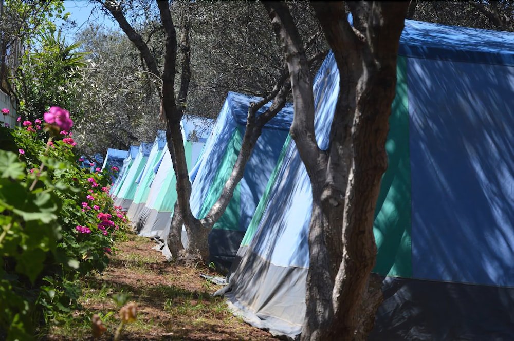 Фото Camping Chania