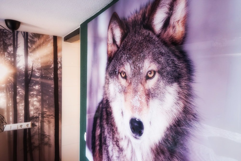 Фото Wolf Hotel