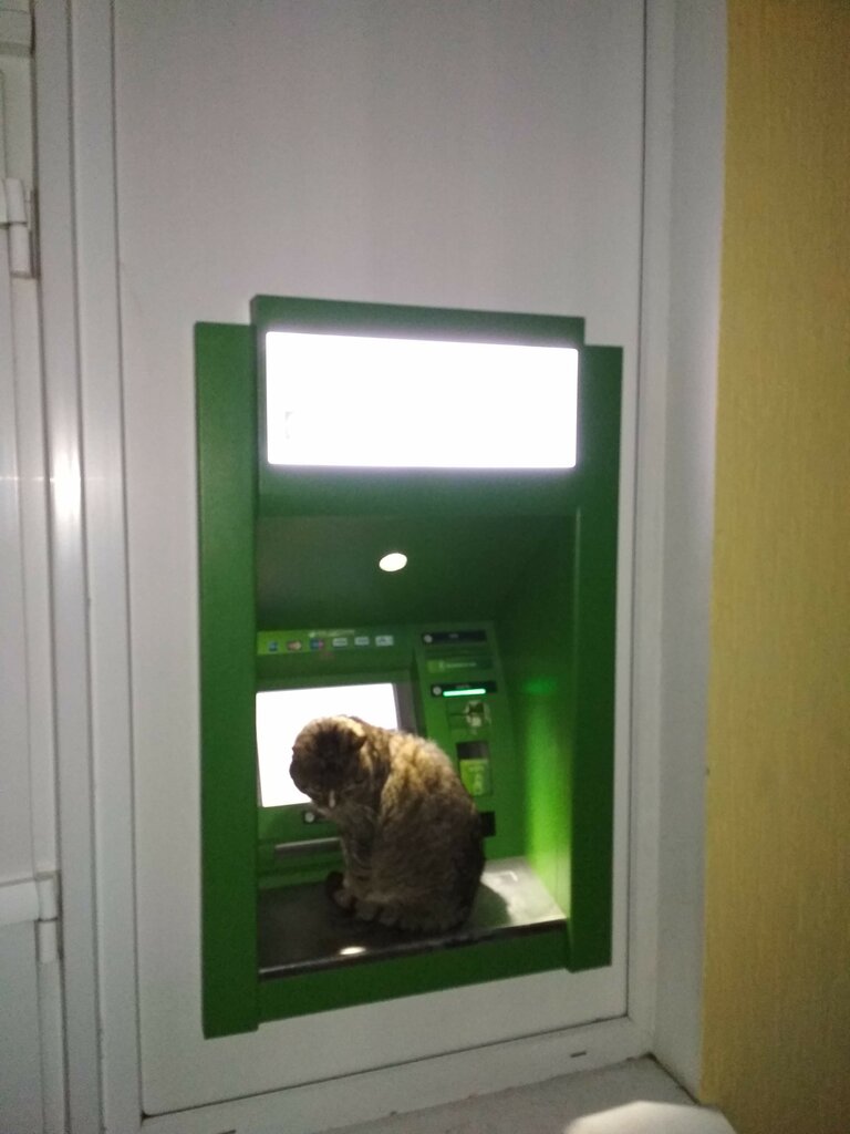 ATM Sber Bank, bankomat, Ostrovets, photo