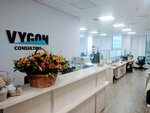 Vygon Consulting (Krasnopresnenskaya Embankment, 12), business consulting