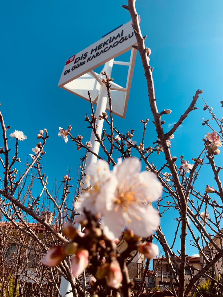 Dental clinic Q Klinik - Dis Hekimi Guliz Karacaoglu, Guzelbahce, photo