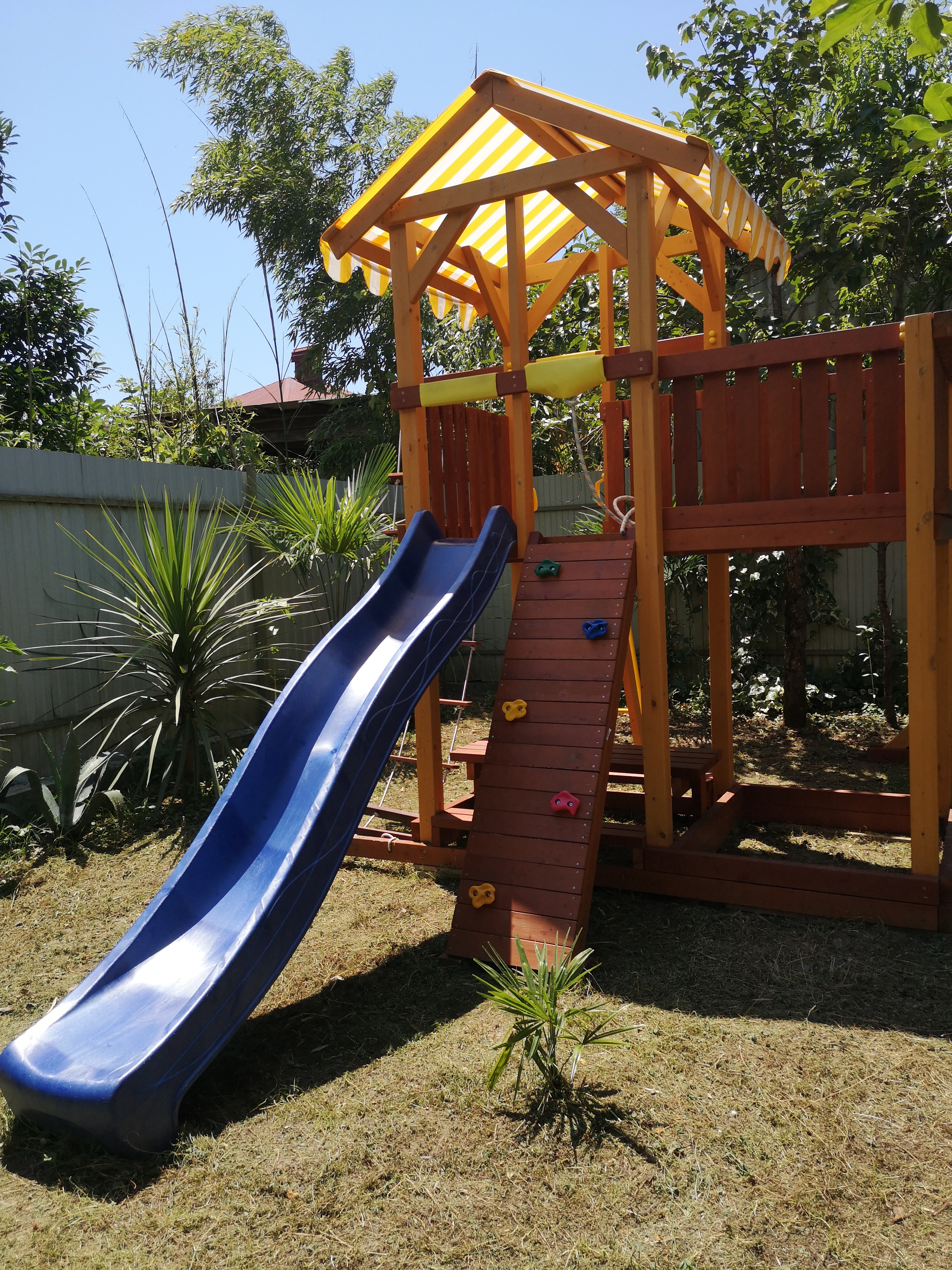 Фото Форелька