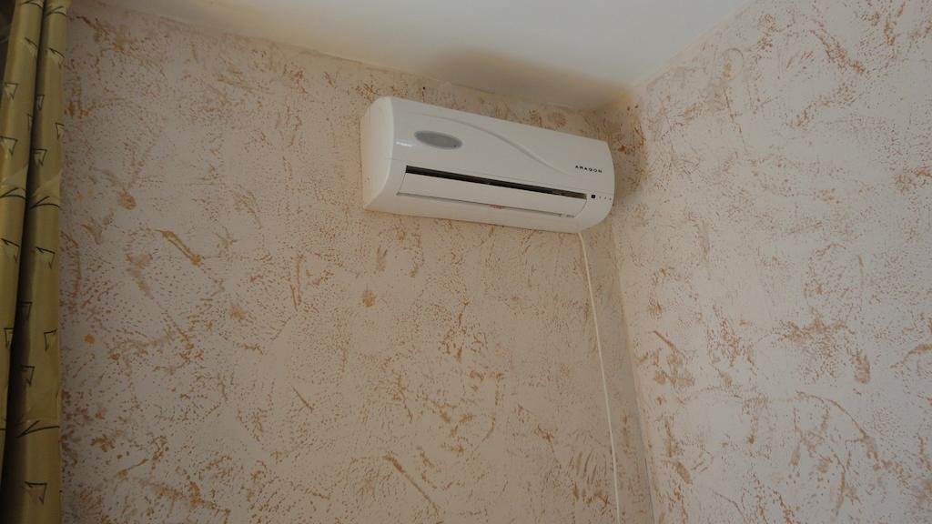 Фото Березка