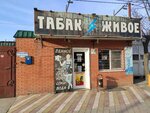 Магазин пива и табачной продукции (Kaskadnaya ulitsa, 180), beer shop