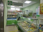Izhmoloko (40 Let VLKSM Street, 29), lechería