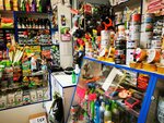 PetshopFox (gorodskoy posyolok Siverskiy, ulitsa Stroiteley, 1), pet shop