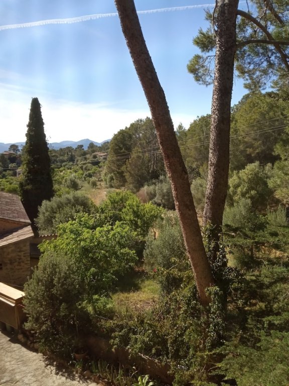 Фото Asis de Marratxinet