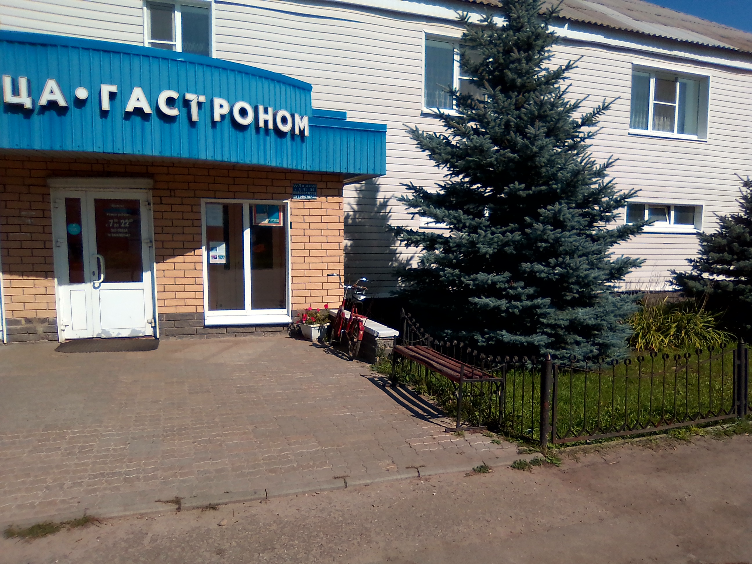 Фото Шатковская