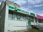 Ekonom (Orlovskaya ulitsa, 19), farmacia