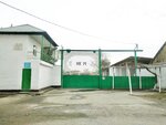 Mechanized Column 14 (Ravnaq ko‘chasi, 3), transport company, car depot