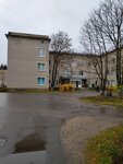 Volosovskaya poliklinika (ulitsa Khrustitskogo, 76), polyclinic for adults