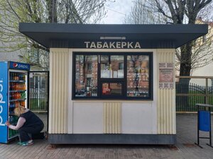 Табакерка (Могилёв, Пионерская улица), магазин табака и курительных принадлежностей в Могилёве