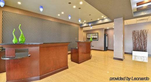 Фото Wyndham Garden Elk Grove Village/O'Hare