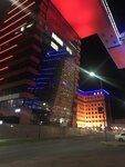 Animar (Nikolaeva Street, 11/5) ، تكنولوجيا المعلومات (it)