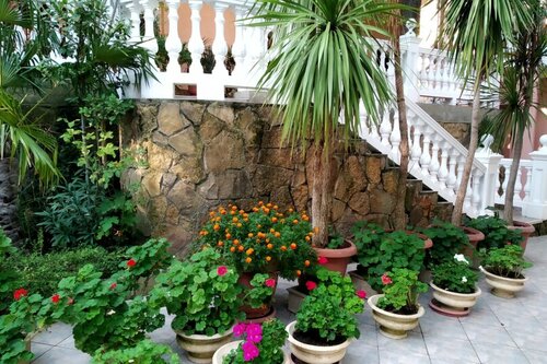 Гостевой дом Парк-Отель Ялта в Ялте