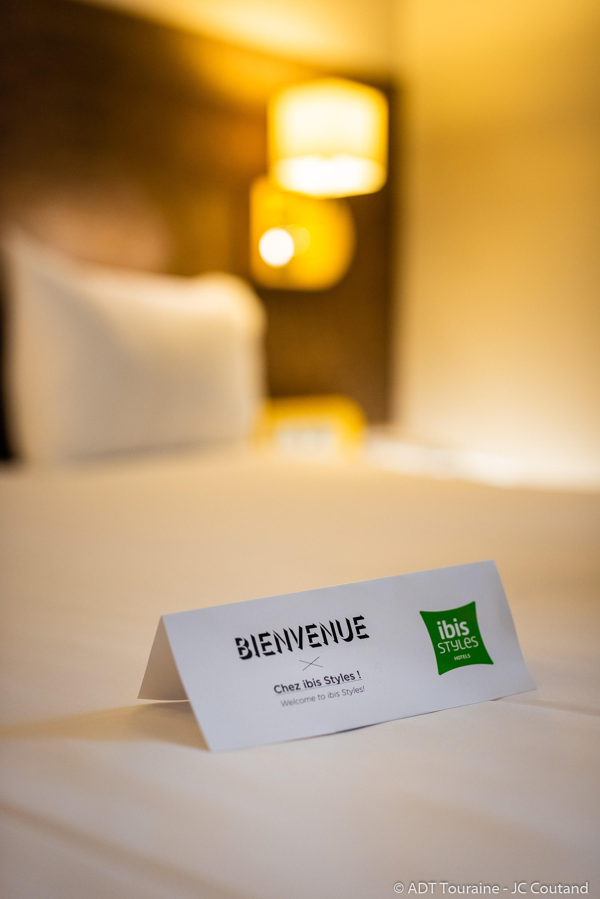 Фото Ibis Styles Tours Centre