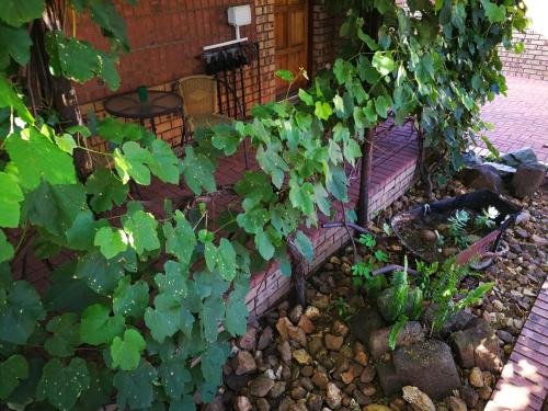 Фото Golden Fountain Guest House