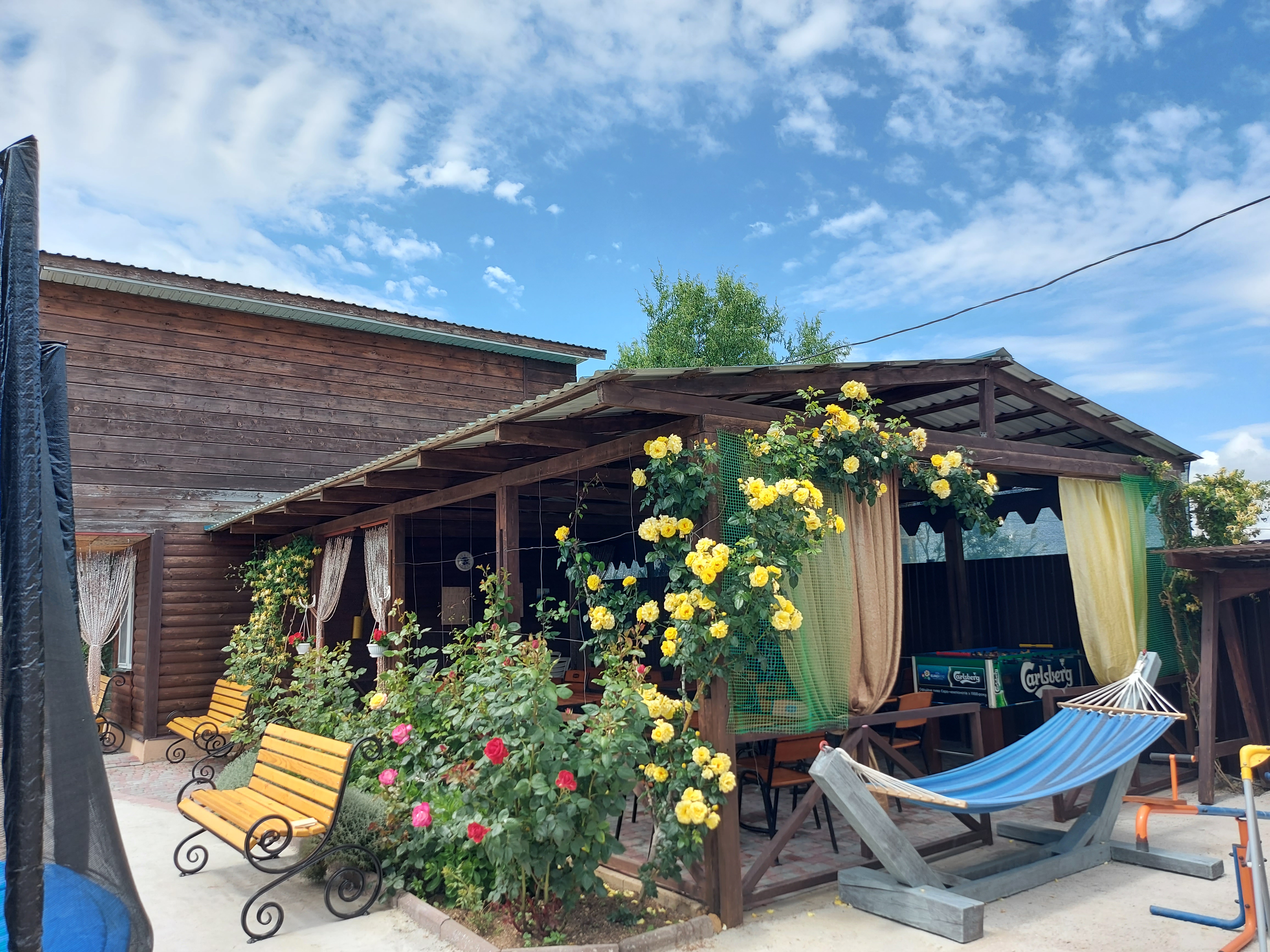 Фото Хороший гость