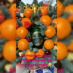 Goldfashionyy (Tsentralniy City administrative district, Tsentralniy Microdistrict, Odesskaya ulitsa, 48литЗ), drapery shop