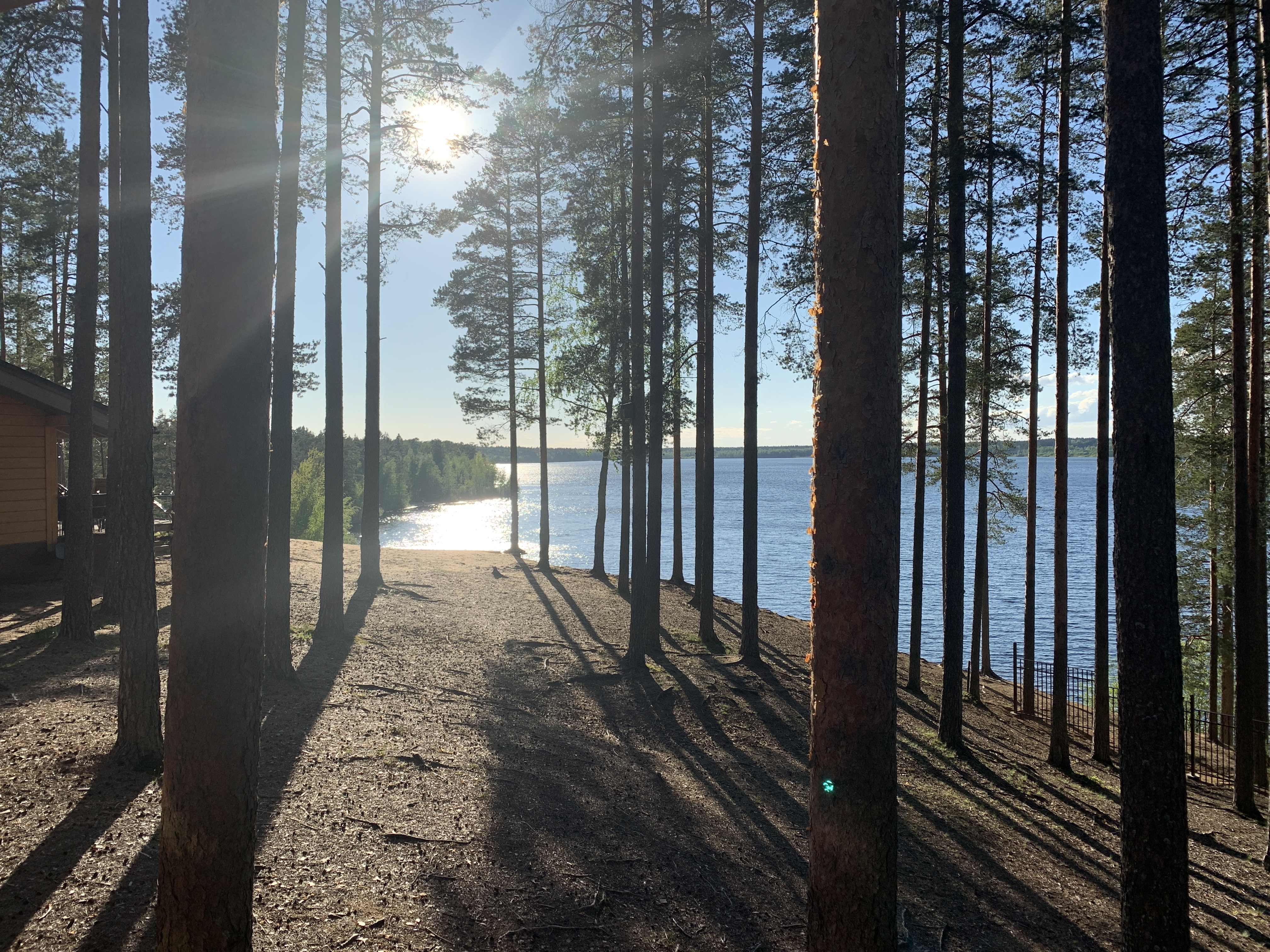 Фото Лесная Рапсодия