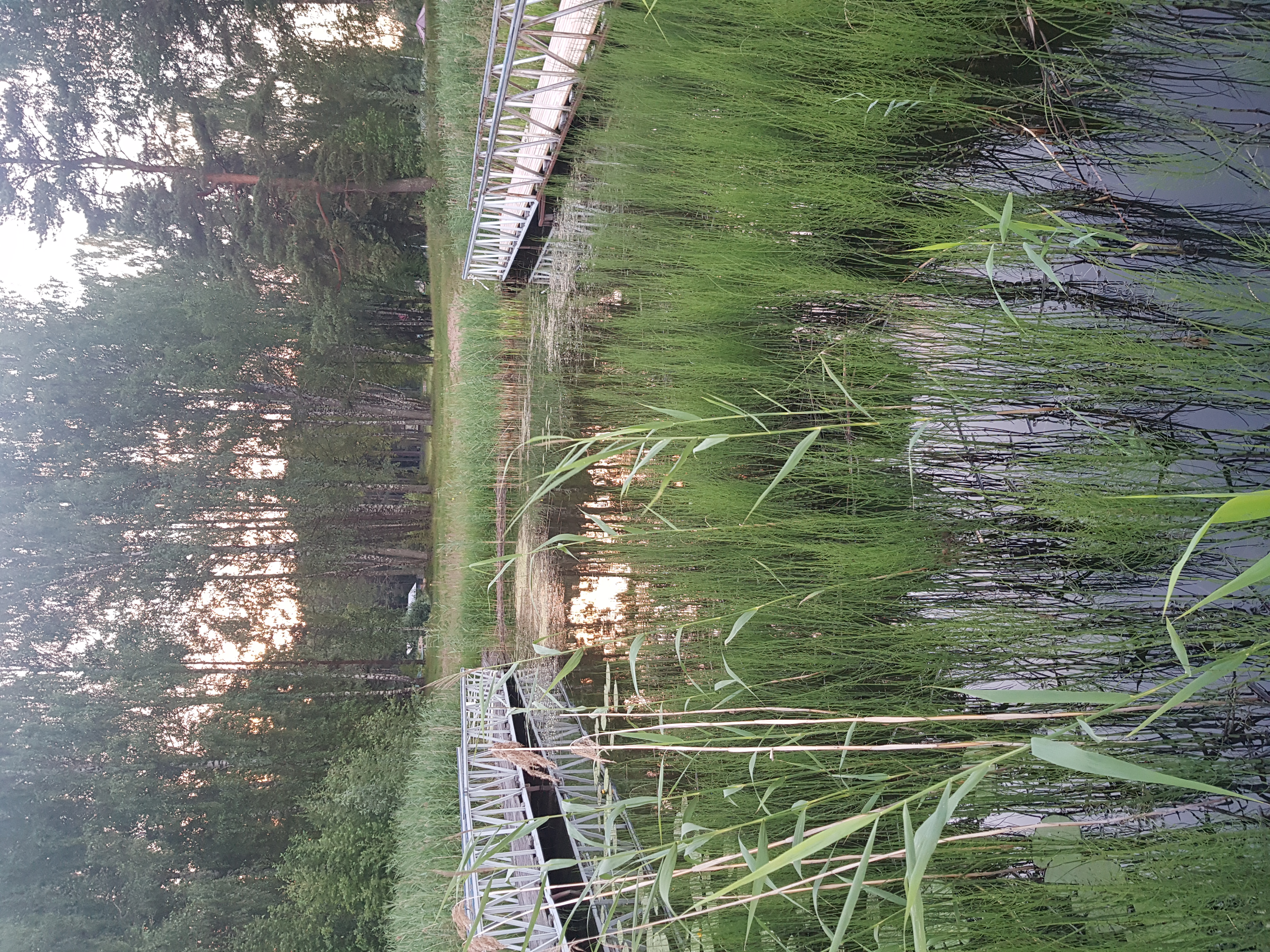 Фото Эко Парк