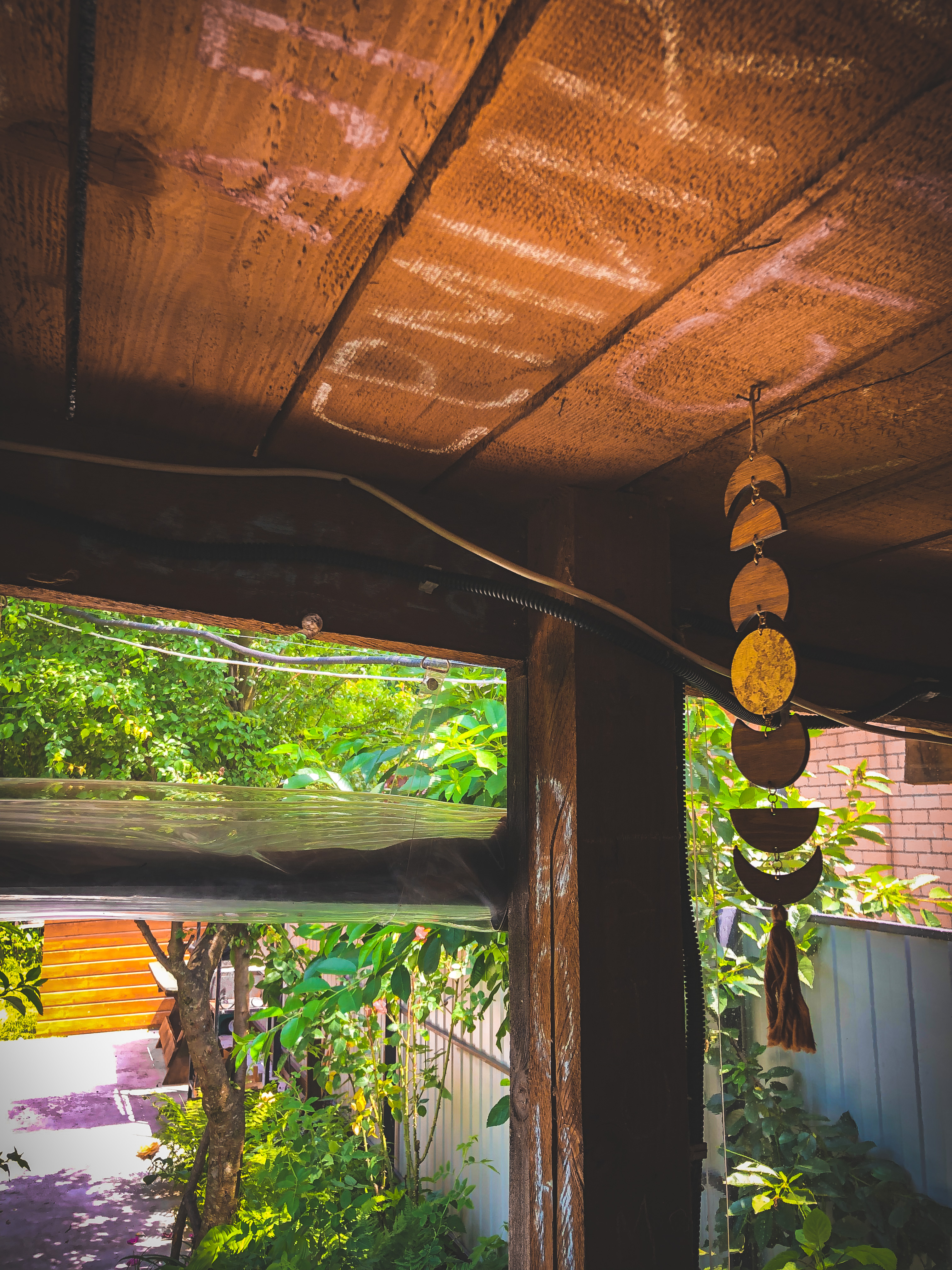 Фото Зелёный уголок