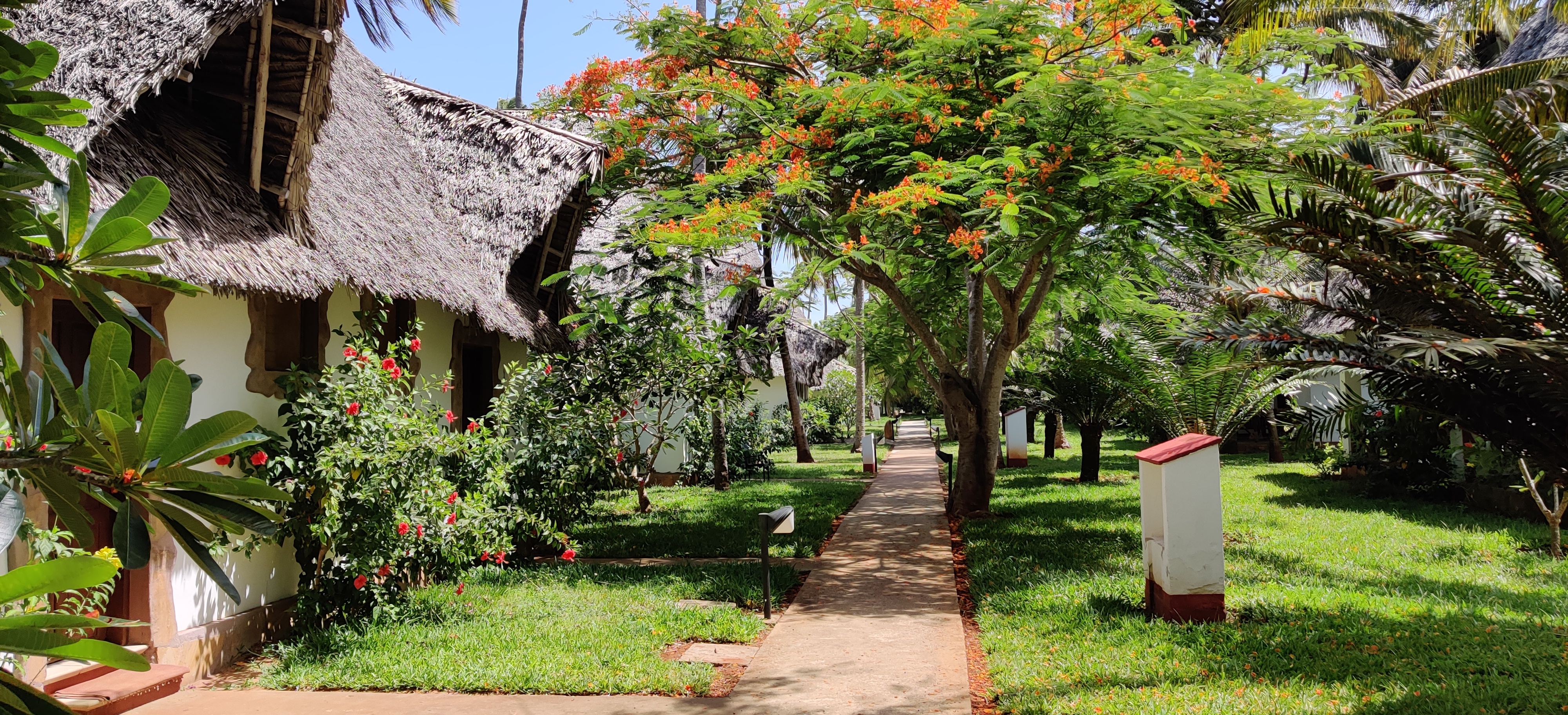 Фото Uroa Bay Beach Resort