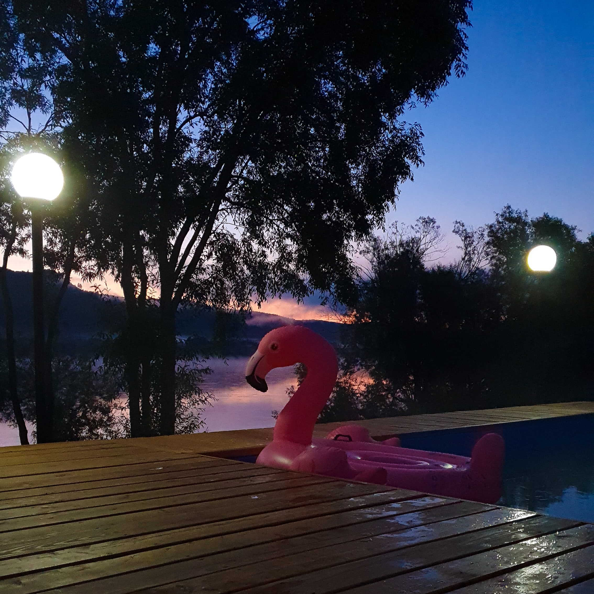 Фото Зель-Диего