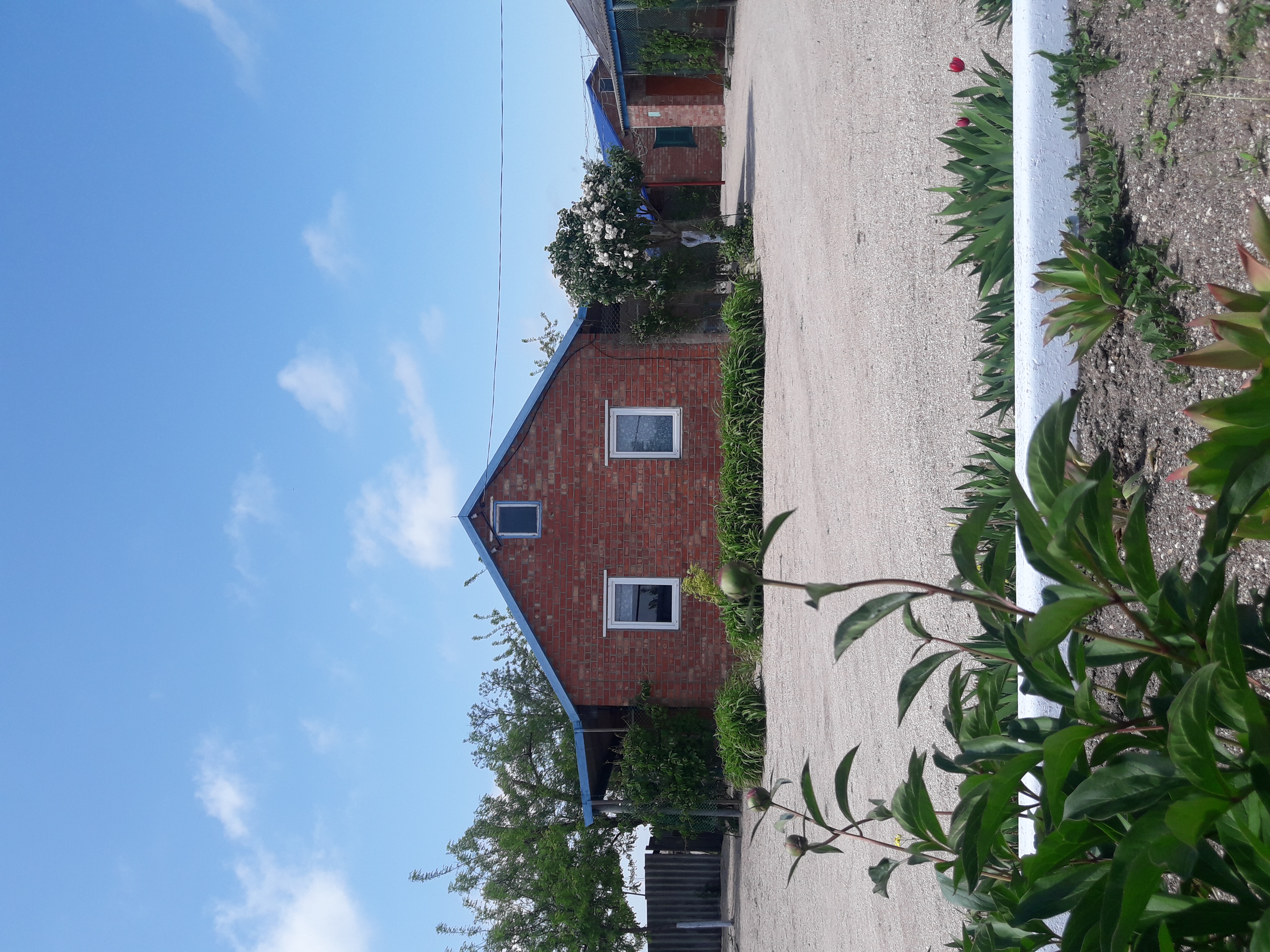 Фото Родной берег