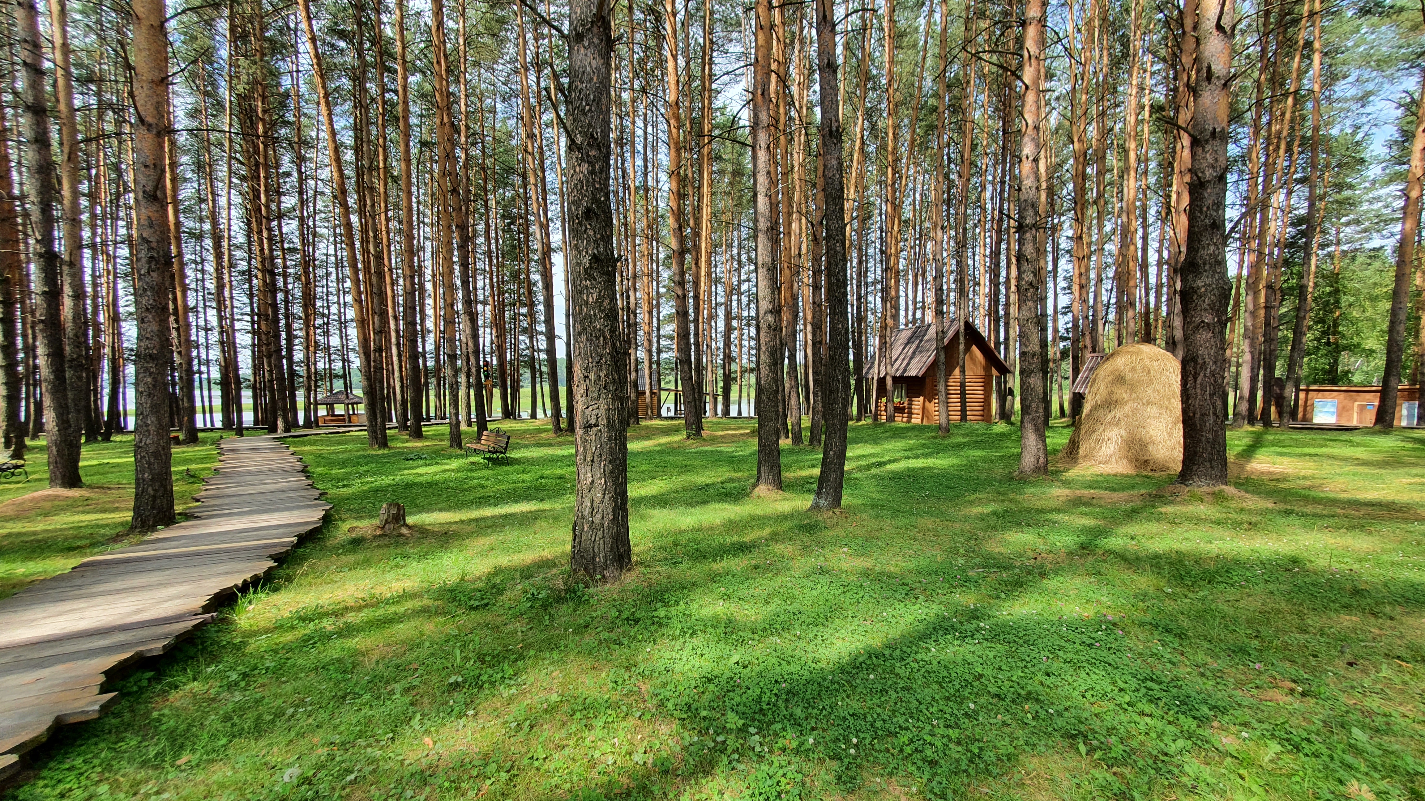 Фото Светофор