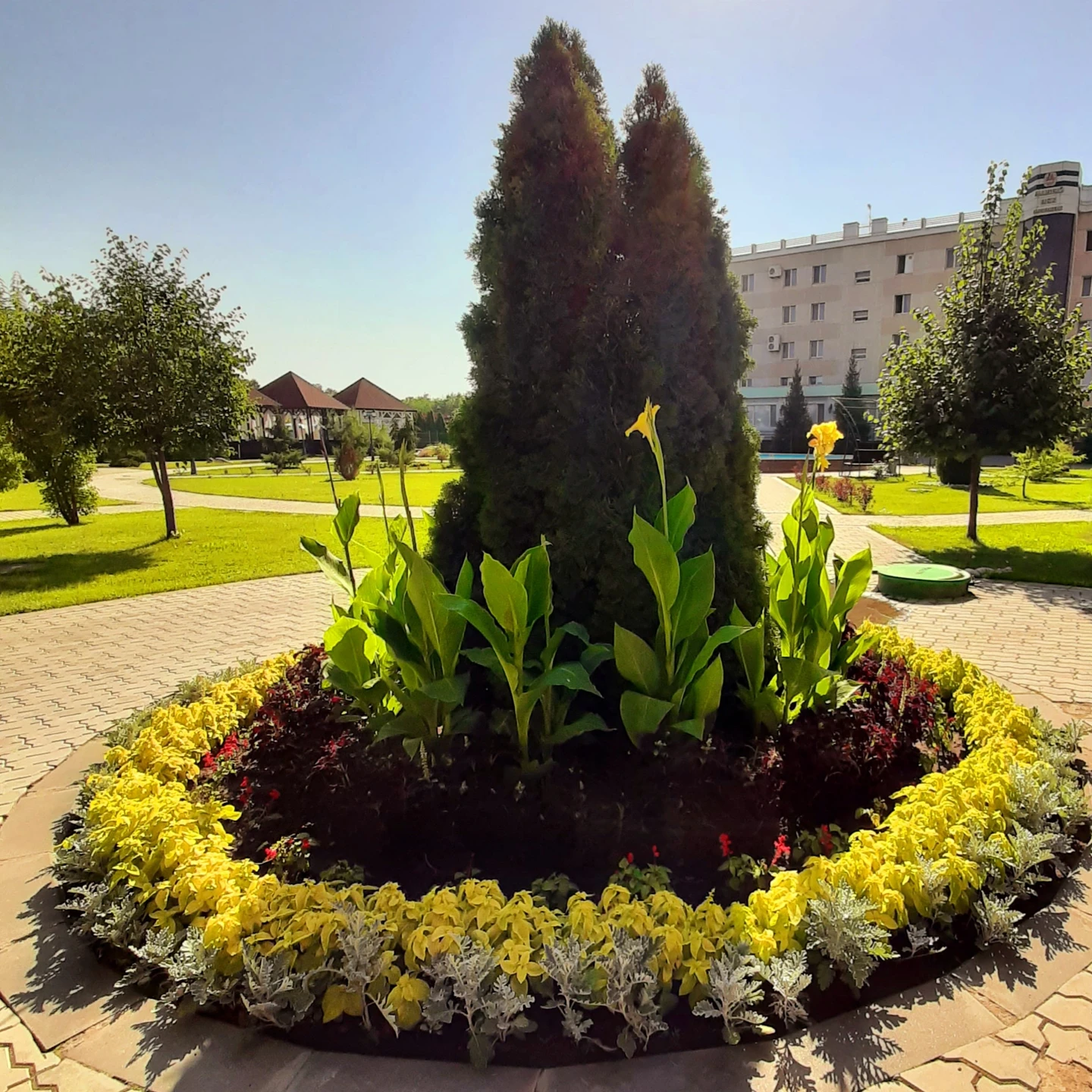 Фото Новый век