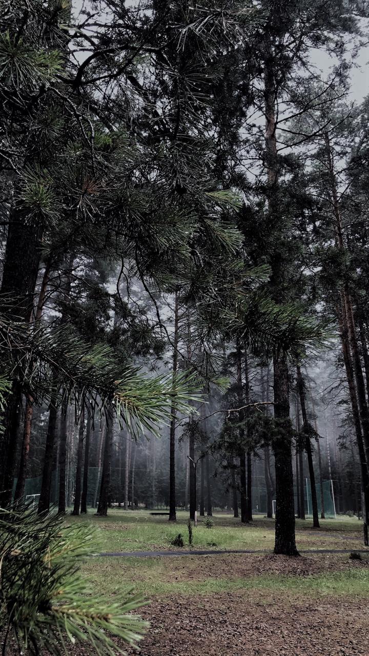 Фото Черепашьи озёра