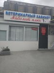 Ветеринарный кабинет Айболит + (stanitsa Anapskaya, Komsomolskaya ulitsa, 73), veterinary clinic