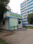 Lukomorye (Moskovskoye Highway, 125Б), cafe