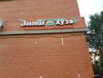 Zolotaya luza (Omskaya Street, 77/2) ، قاعة مسبح