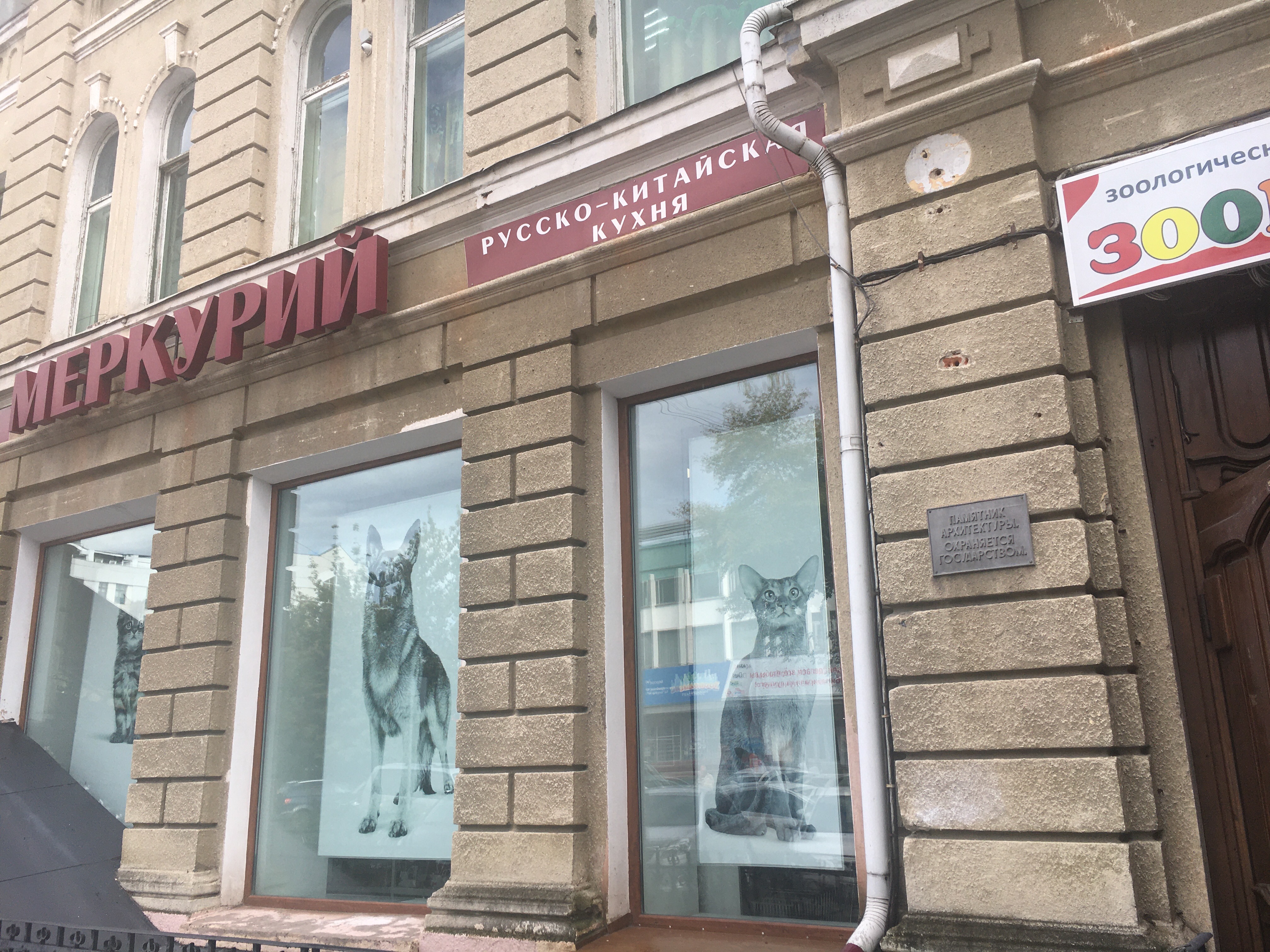 Меркурий, кафе, пер. Артура Волошина, 4, Благовещенск Яндекс Карты