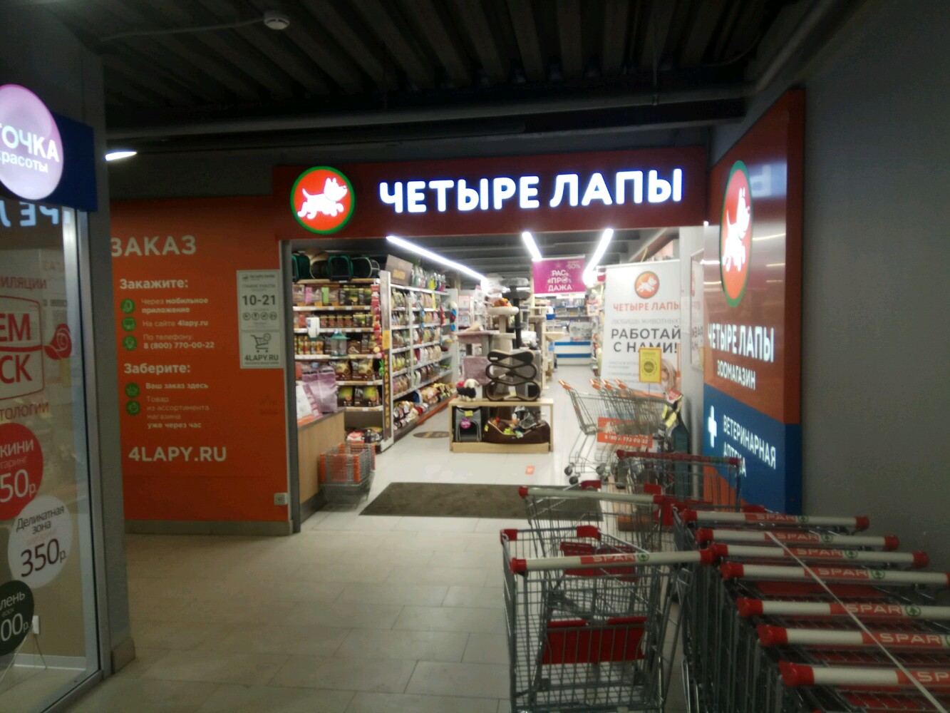 Четыре Лапы - фото 4