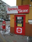 Krasnoe&Beloe (Chapaeva Street, 13), grocery