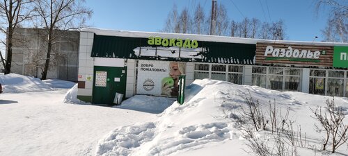 Grocery Авокадо, Kirov Oblast, photo