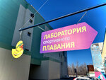 Sports swimming laboratory (Leninskiy Avenue, 174/23), piscina