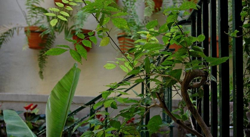 Фото 29 Madeira Hostel