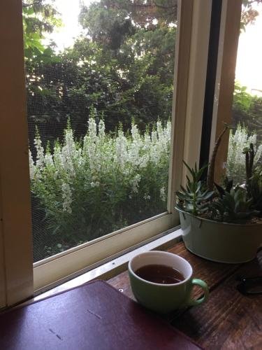 Фото Puli Town Bed and Breakfast