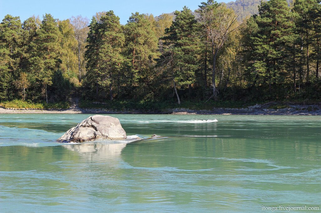 Фото Корона Алтая