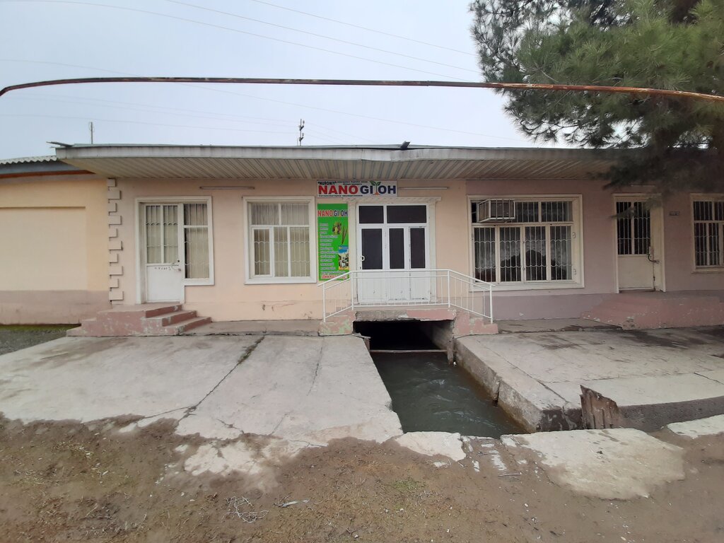 Pharmacy Nanogioh, Andijan Province, photo