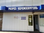 Разрез Черемховуголь (Parkovaya ulitsa, 1) ، شركة الفحم